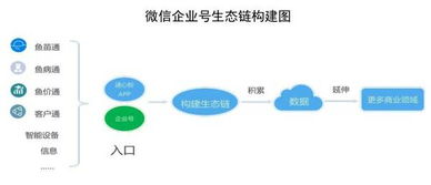 通威股份數(shù)字化轉(zhuǎn)型 當(dāng)水產(chǎn)巨頭擁抱互聯(lián)網(wǎng)數(shù)據(jù)服務(wù)